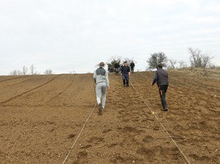 IMG_3532.JPG